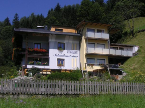 Гостиница Appartement Schaubensteiner, Целль-Ам-Зее